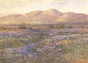 Lupine in Kern County unknow artist